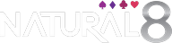 natural8 logo